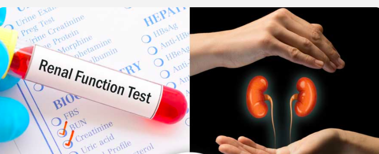 Kidney Function Tests: Know The Types, How It Is Done And What To Expect