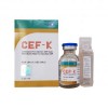 CEF-K