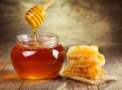 Living Forest Honey