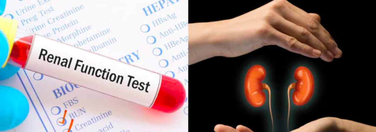 Kidney Function Tests: Know The Types, How It Is Done And What To Expect